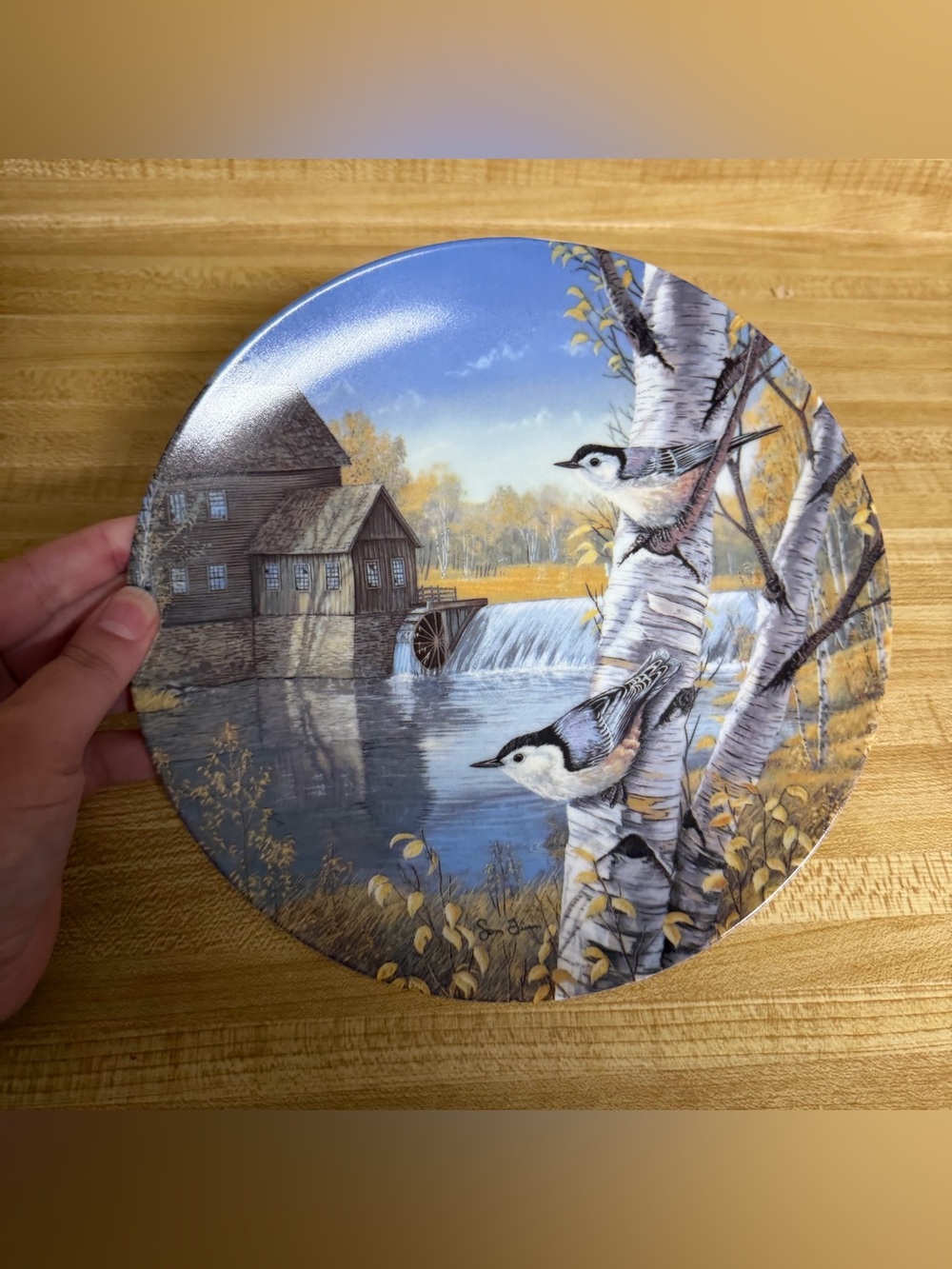 Vintage 1991 nuthatches in fall by Sam Timm decorative plate avian birds Knowles